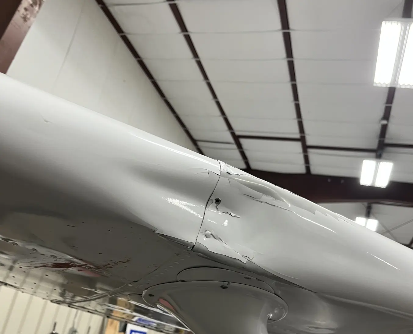 Wing Bird Strike Damage